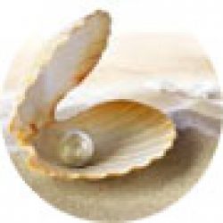 Pearl in a shell